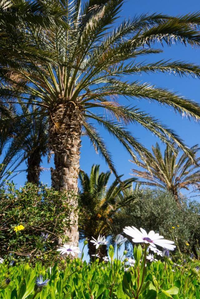 Authentic Cretan Stone Windmill Villa Sitia  Luaran gambar